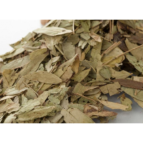 Feuille de Séné 1kg